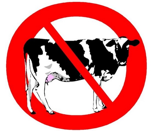 cara membedakan alergi dan intoleransi laktosa